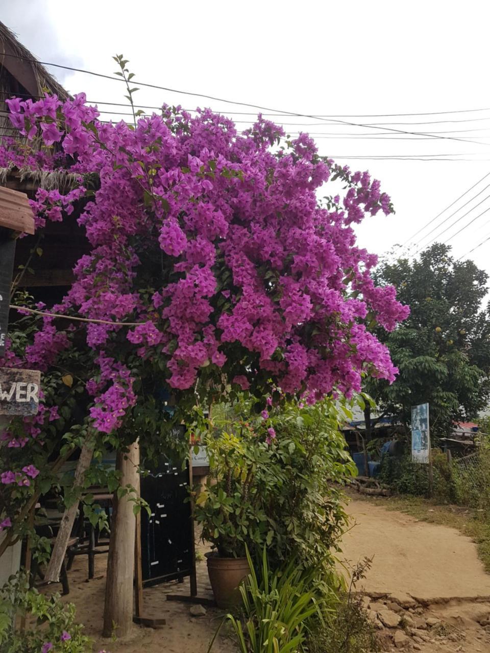 Lattanavongsa Guesthouse And Bungalows Muang Ngoi Luaran gambar